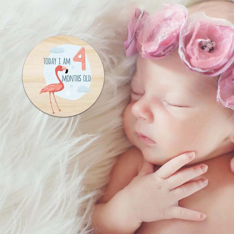 RORANIC Baby Monthly Milestone Cards for Newborn Girl or Boy,Safari Monthly Baby Milestone Cards Baby Anniversary Signs,Baby Shower Cards Come with Organza Gift Bag (Milestone Wooden Circles) - Image 4